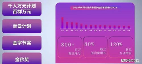 新氧解密今日头条运营秘笈 提升效率，钦享科技代运营与推广服务助力同行